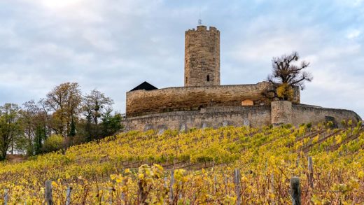 Burg Steinsberg und Weinberg im Herbst