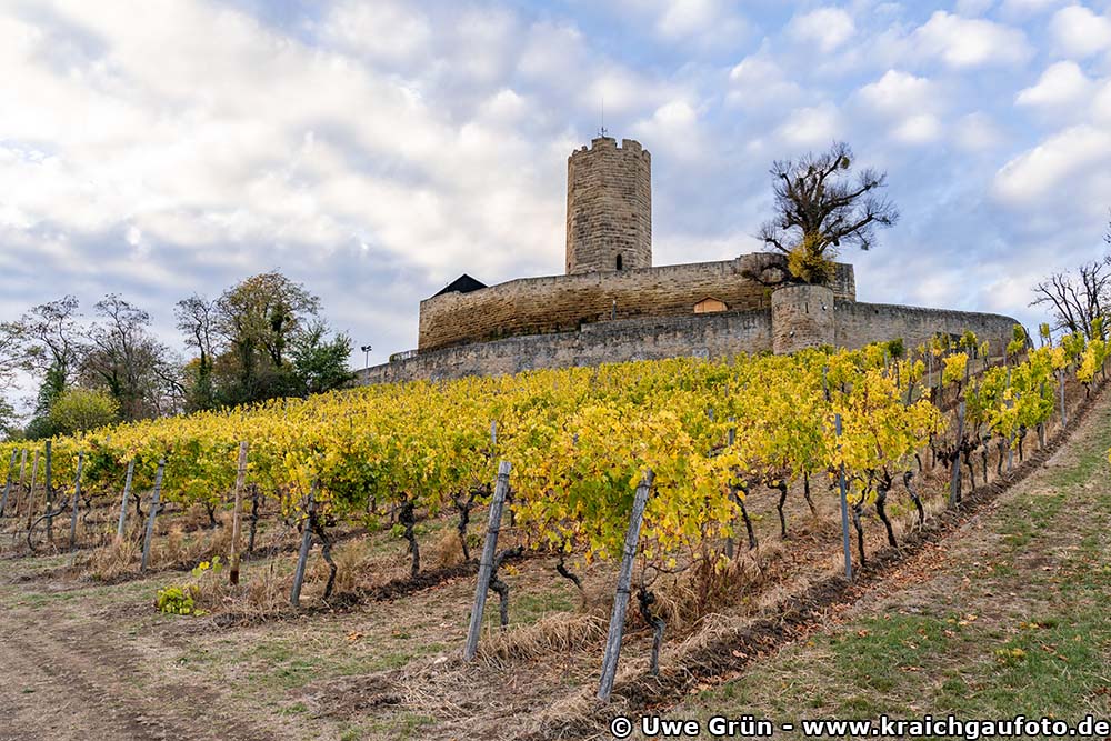 Burg Steinsberg mit herbstlichem Weinberg