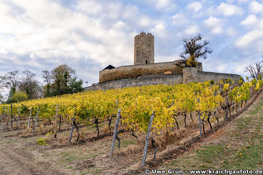 Burg Steinsberg mit herbstlichem Weinberg