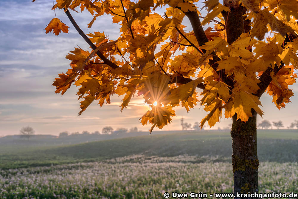 Kurz vor Sonnenuntergang auf freiem Feld