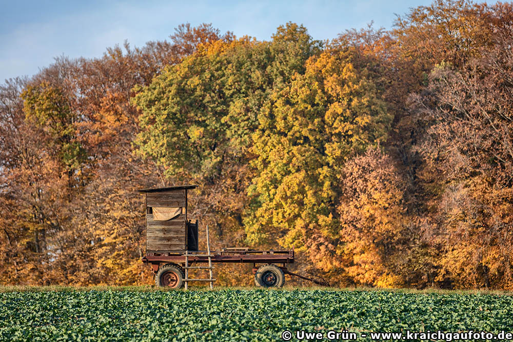 Mobiler Hochstand am Waldrand